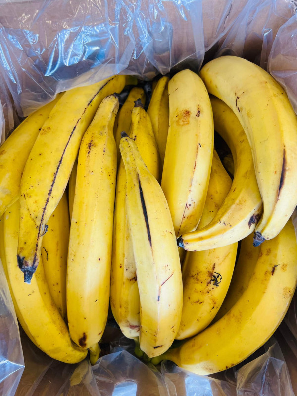 Chả cá Bánh Nha Trang 9$