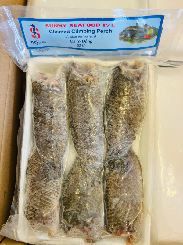 Bao tử cá basa
