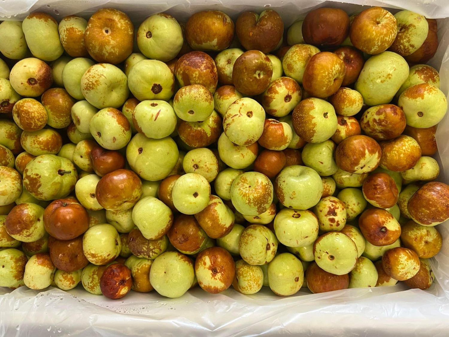 Bánh Pía 8 trứng muối