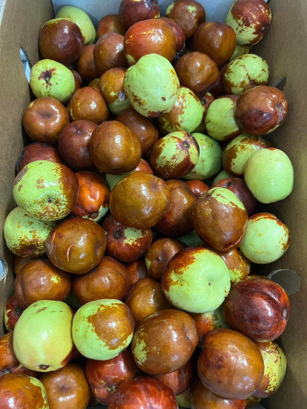 Gia Vị Gà Xì Dầu