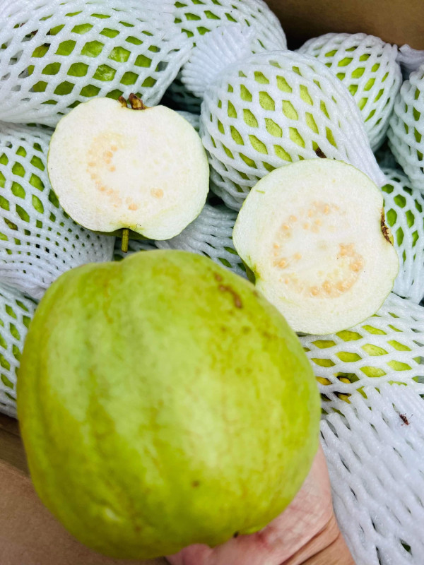 Vua Muối Ớt