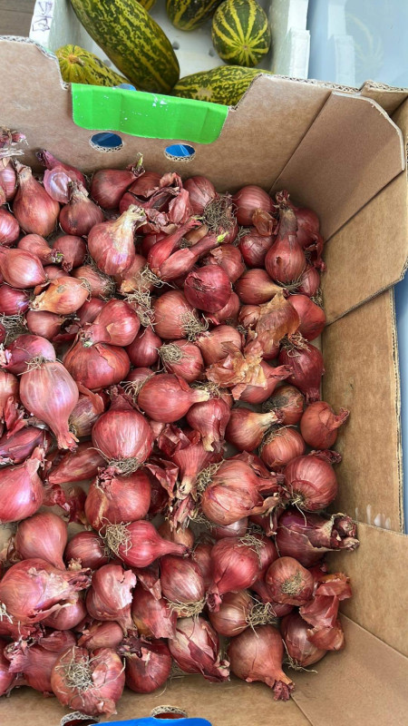 Xôi chiên thịt 9$