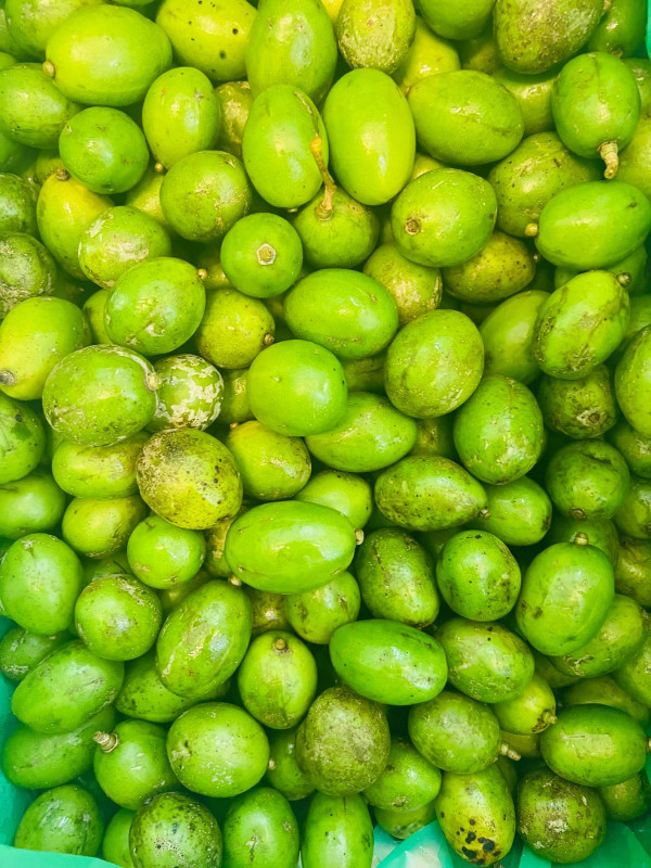 Kê nếp nghệ An 12$