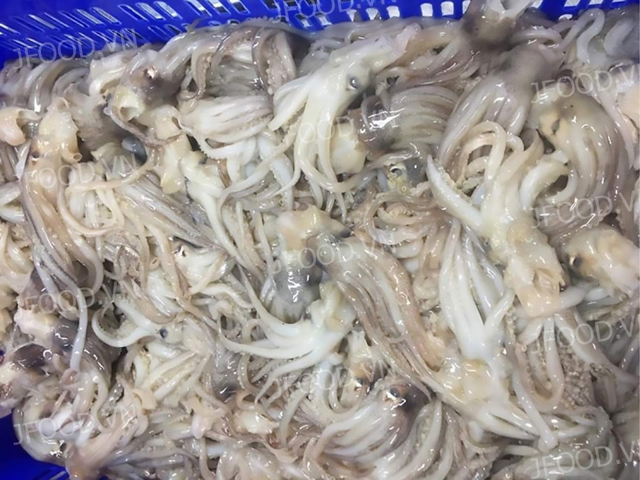 Gạo ST25 xanh đậm 10kg