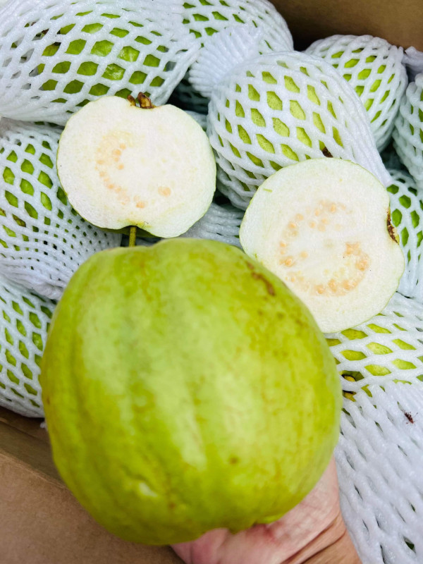 Kẹo đậu phộng 8$