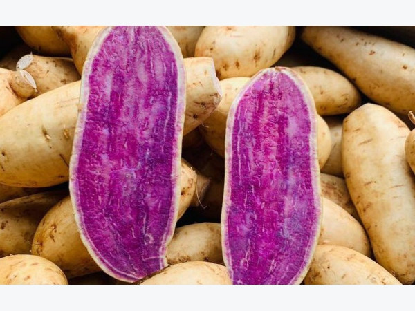 Tôm đông đá 3Kg 145$