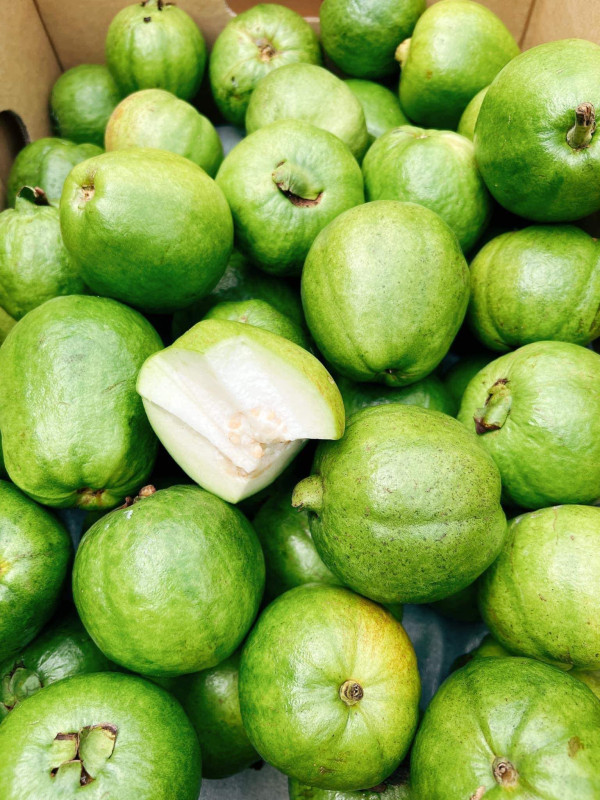 Chả Ram Tôm Đất