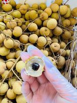 dư cải chua ngọt