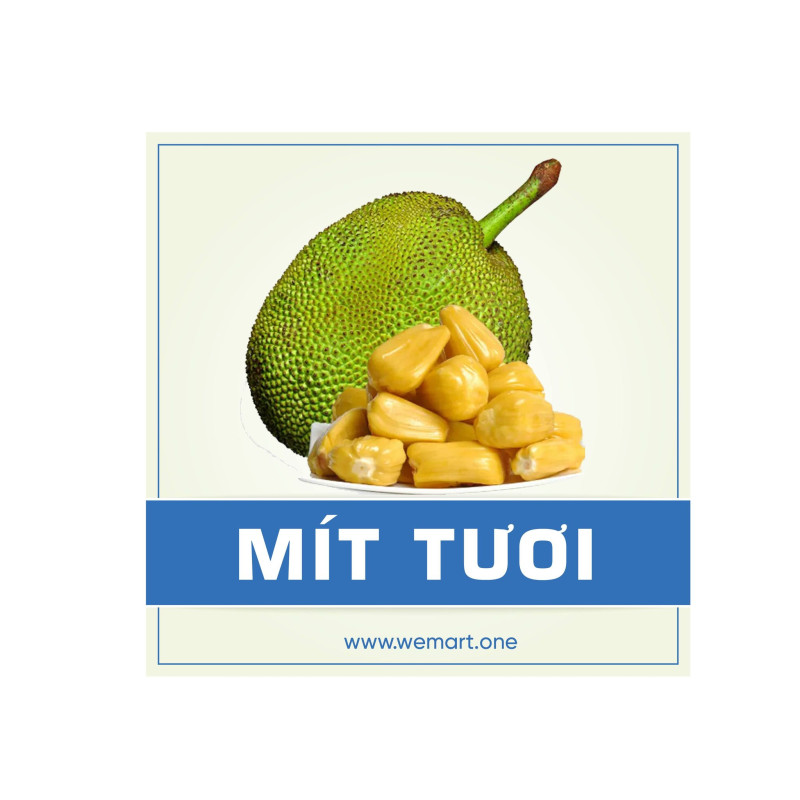 Cá hồi fillet