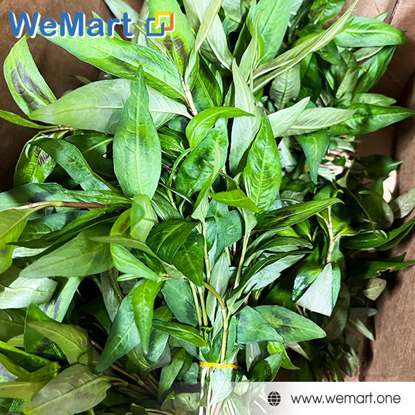 Trứng Cút tươi