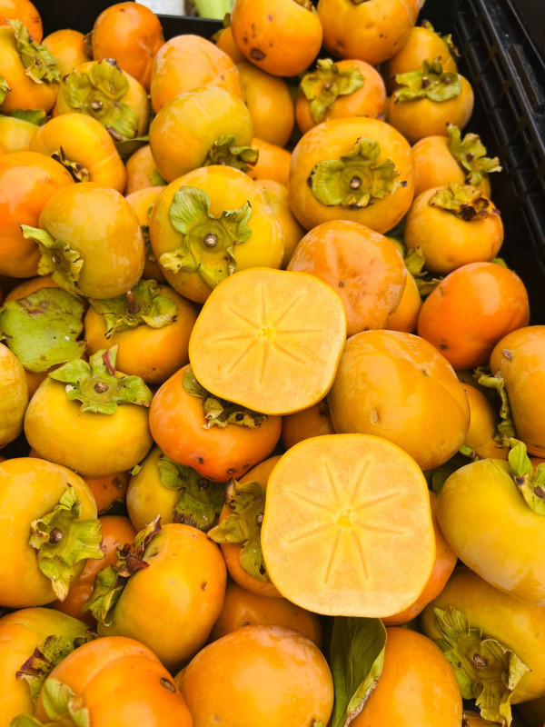 Bánh pía 4 trứng muối
