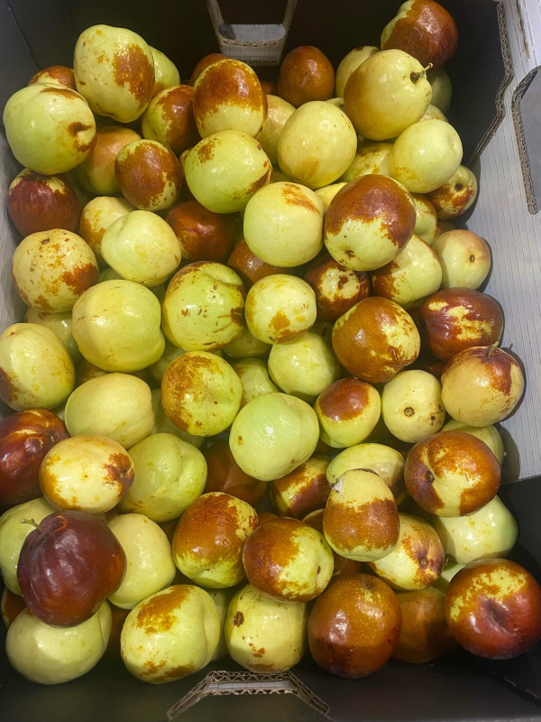Trứng Gà farm 15 $ 1 tray
