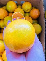 sừa tắm detox(lìebuoy)