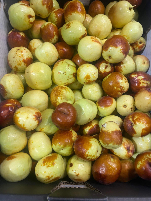 Bánh sữa chua 2Kg 50$