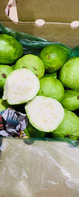 ổi có hạt