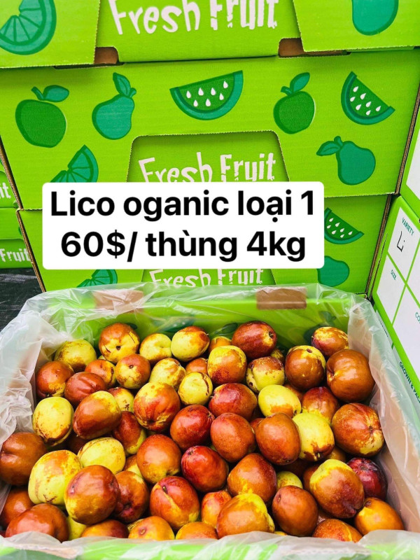 Giò bắp bê