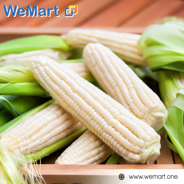 Vải thiều VN 65$ 2Kg
