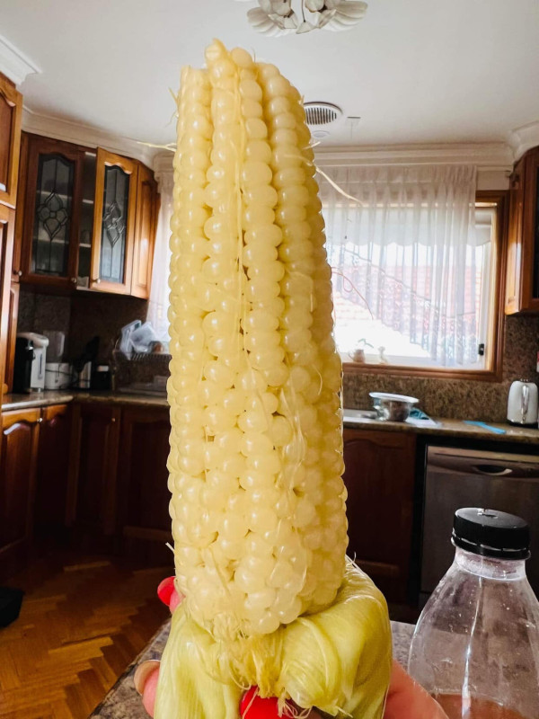 Bánh vân dài Đài Loan