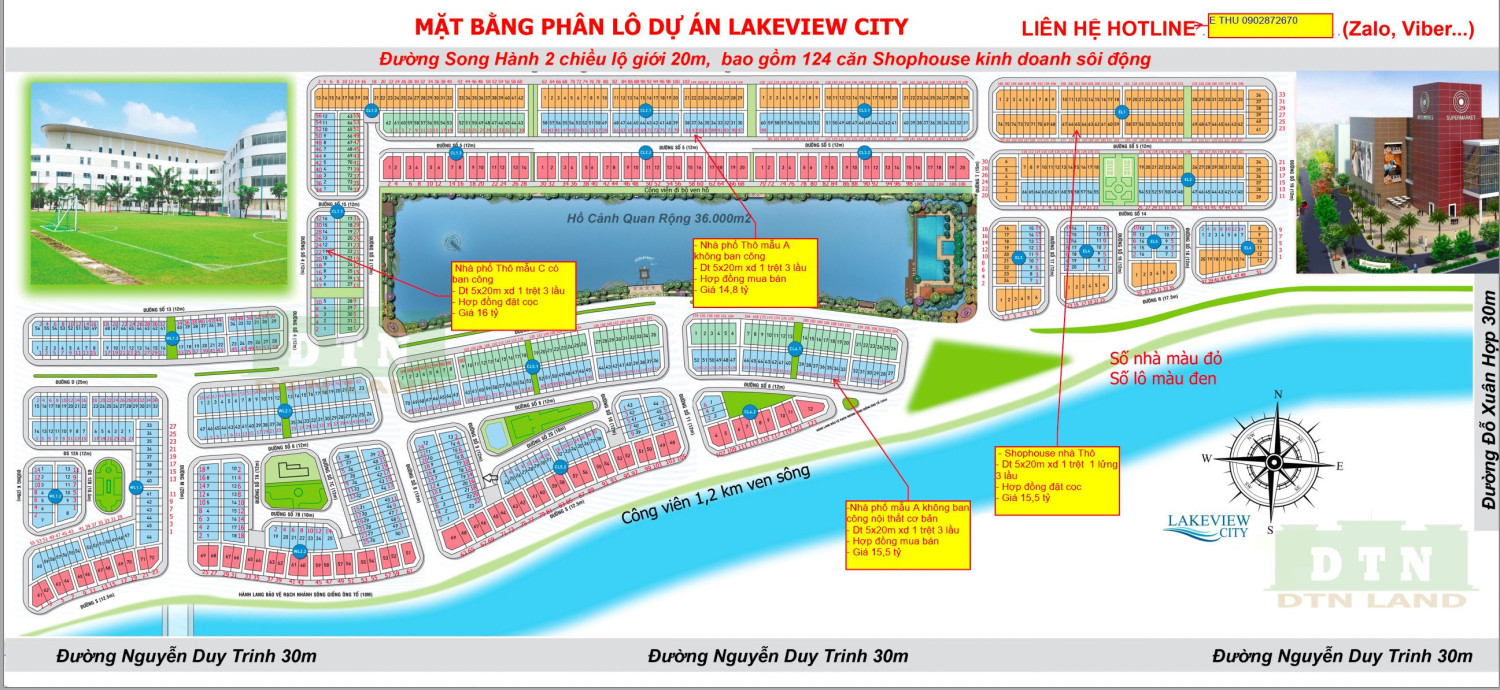 Hồng treo gió