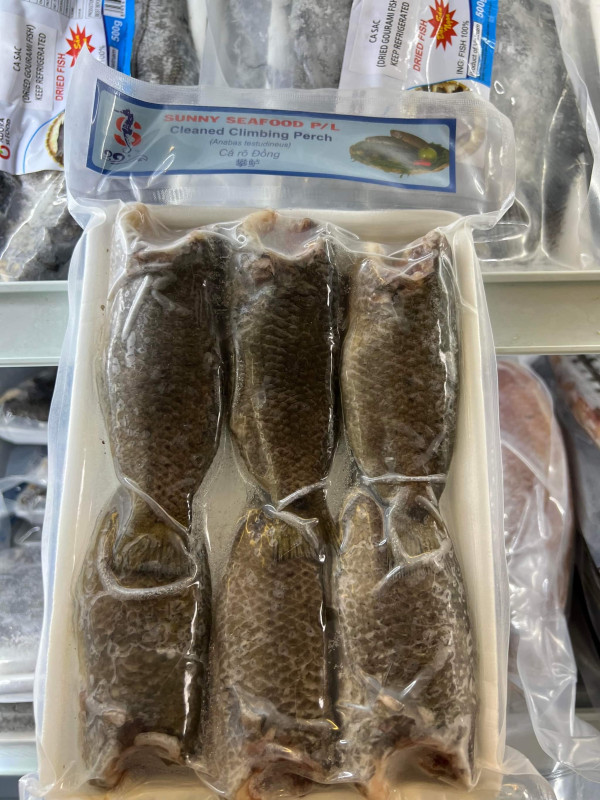Bì bò 14$