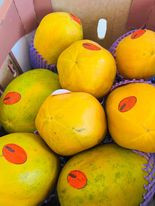 Kẹo Sữa Bò