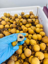 Snack vị cua 1 gói