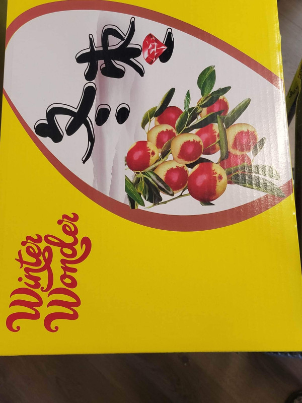 Chả sụn non 12$