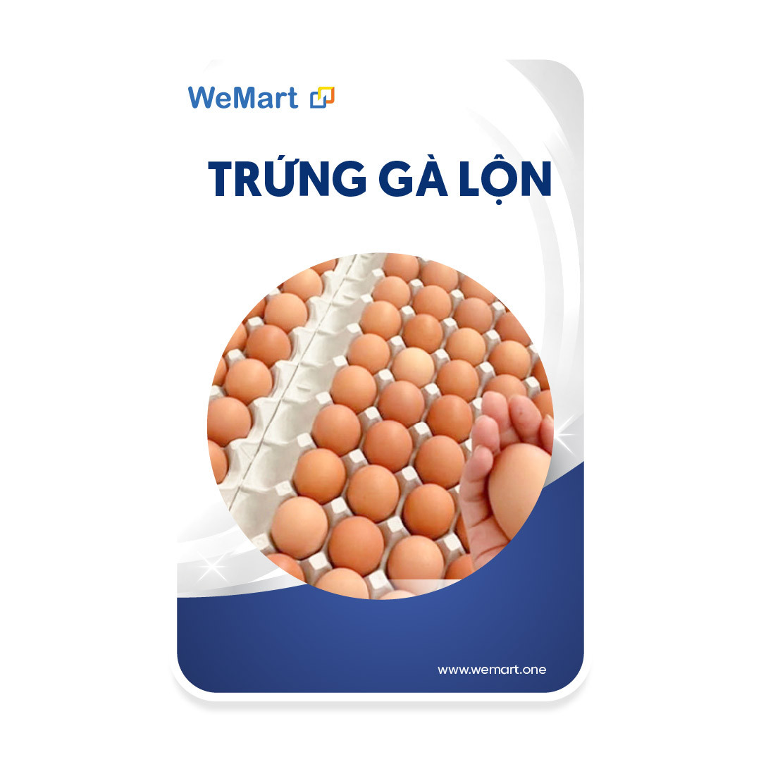 Trứng gà thả rông 85$