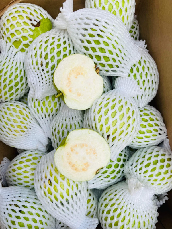 Bánh Phú sỹ ngàn lớp 23$