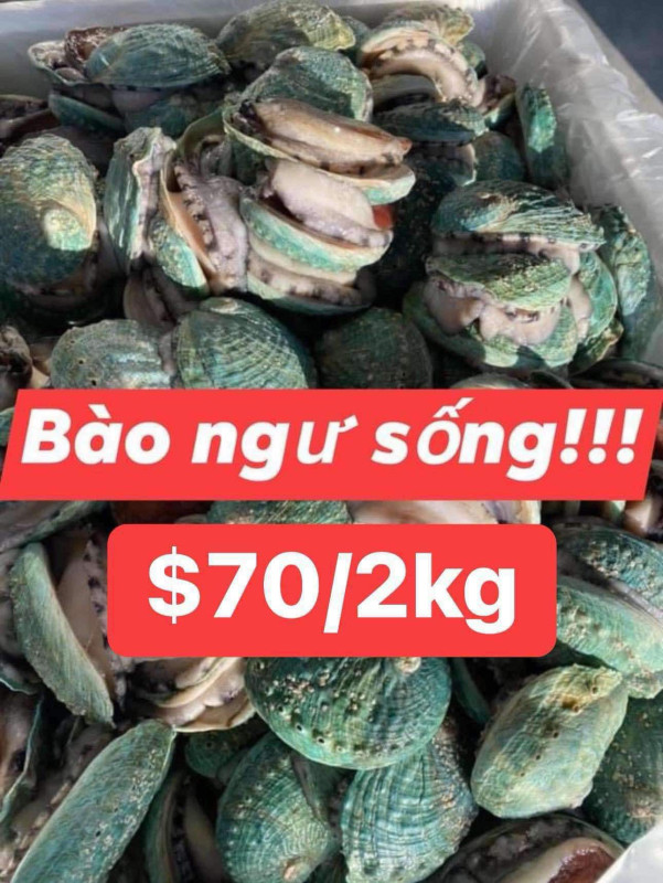 Ốc Cà Na xào bơ cay