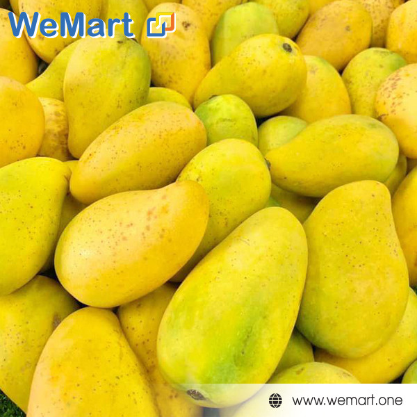 Cá chốt