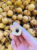 Cheese Hàn Quốc